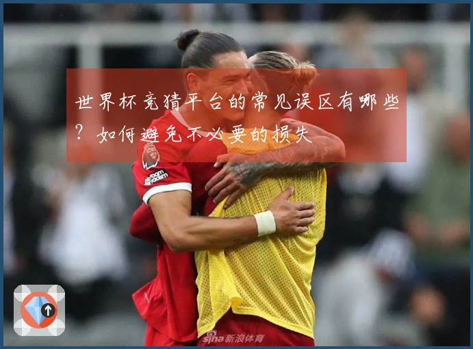 世界杯竞猜平台的常见误区有哪些？如何避免不必要的损失